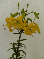 Foto: Dr. Peter Müller